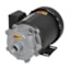 AMT 300 Series Small Straight Centrifugal Pump (Stainless Steel)